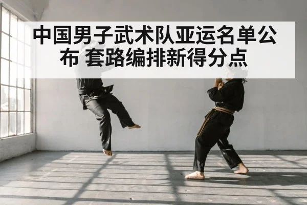 中国男子武术队亚运名单公布 套路编排新得分点